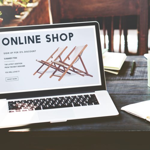 Shopping Online Shopaholics E-Commerce E-Shopping Concept